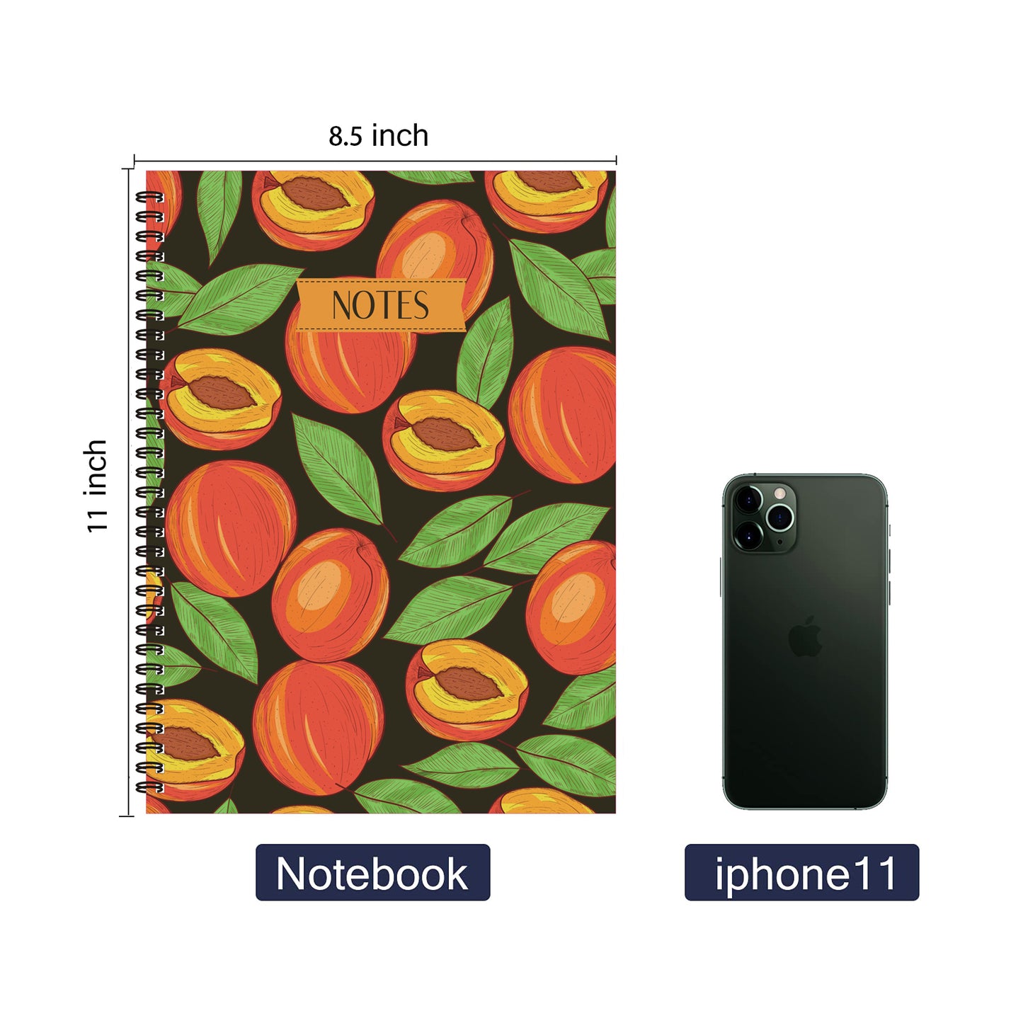 Apricots Spiral Lined Notebook, 8.5 x 11in
